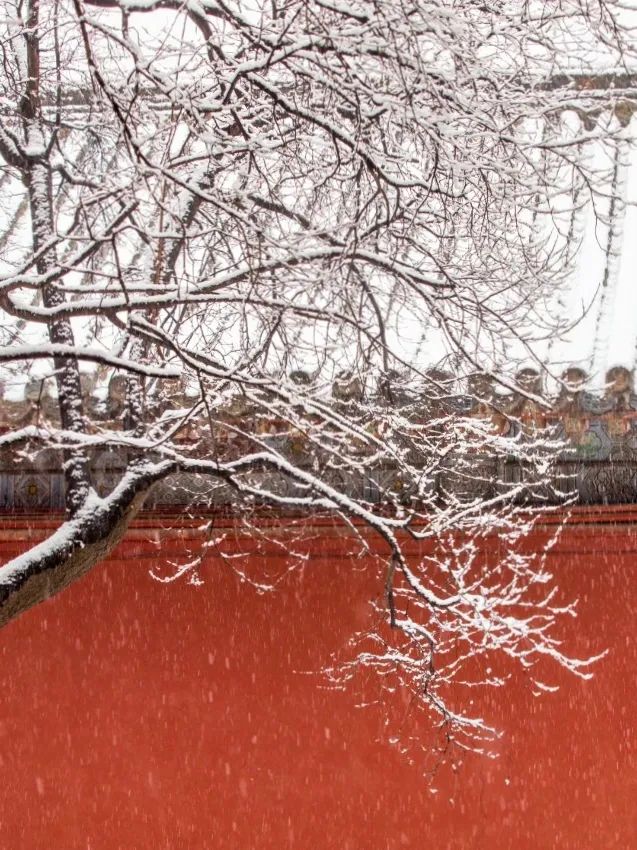 红墙黛瓦落白雪，感受岱庙千年岁月的沉淀