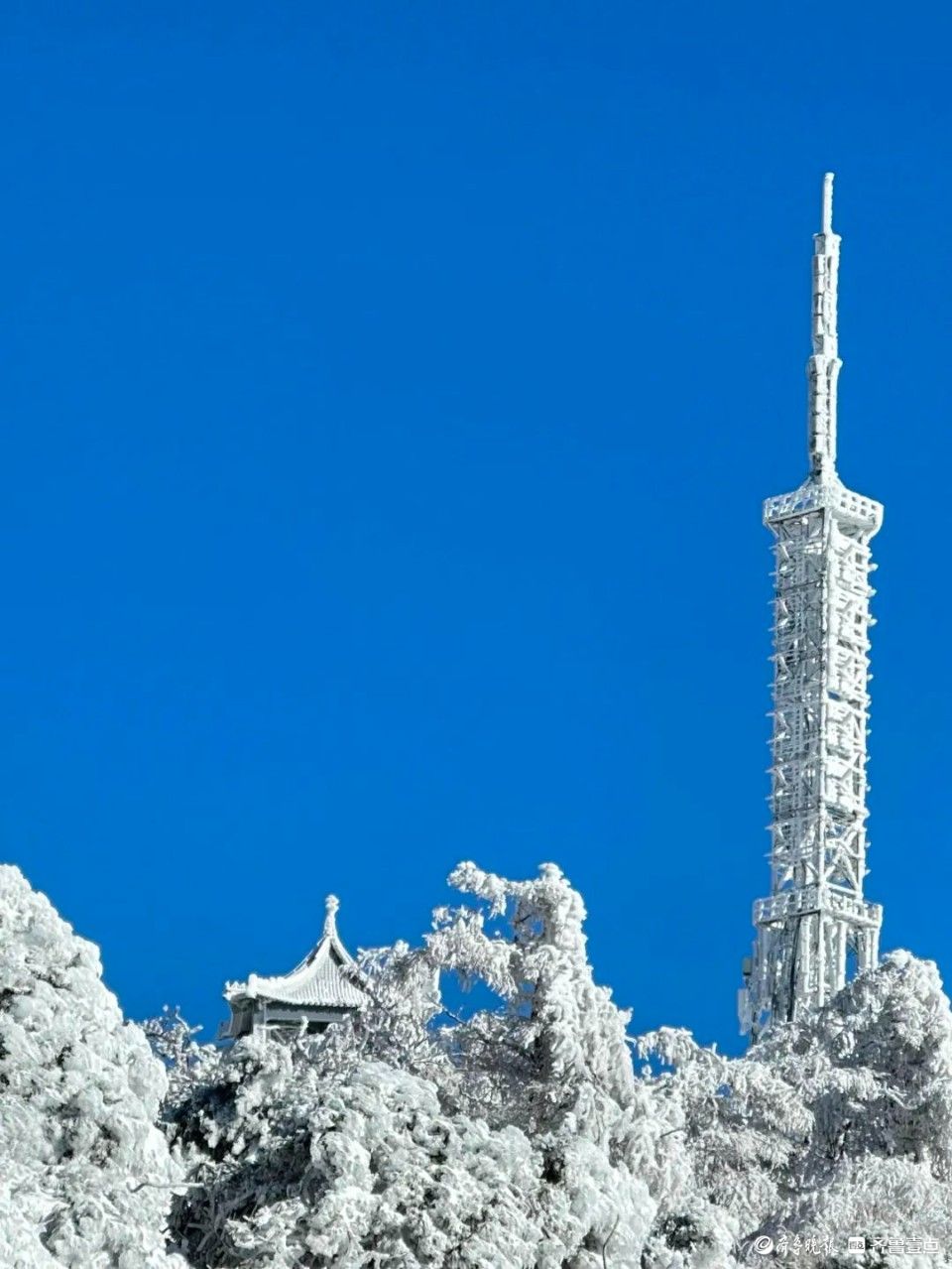 叮！特制“冰糖泰山”一份，请尽快品尝！