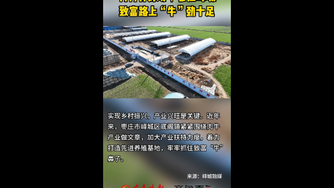 村村有好戏丨枣庄峄城 致富路上“牛”劲十足