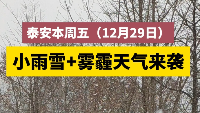 果然视频丨泰安本周五 (12月29日)小雨雪+雾霾天气来袭