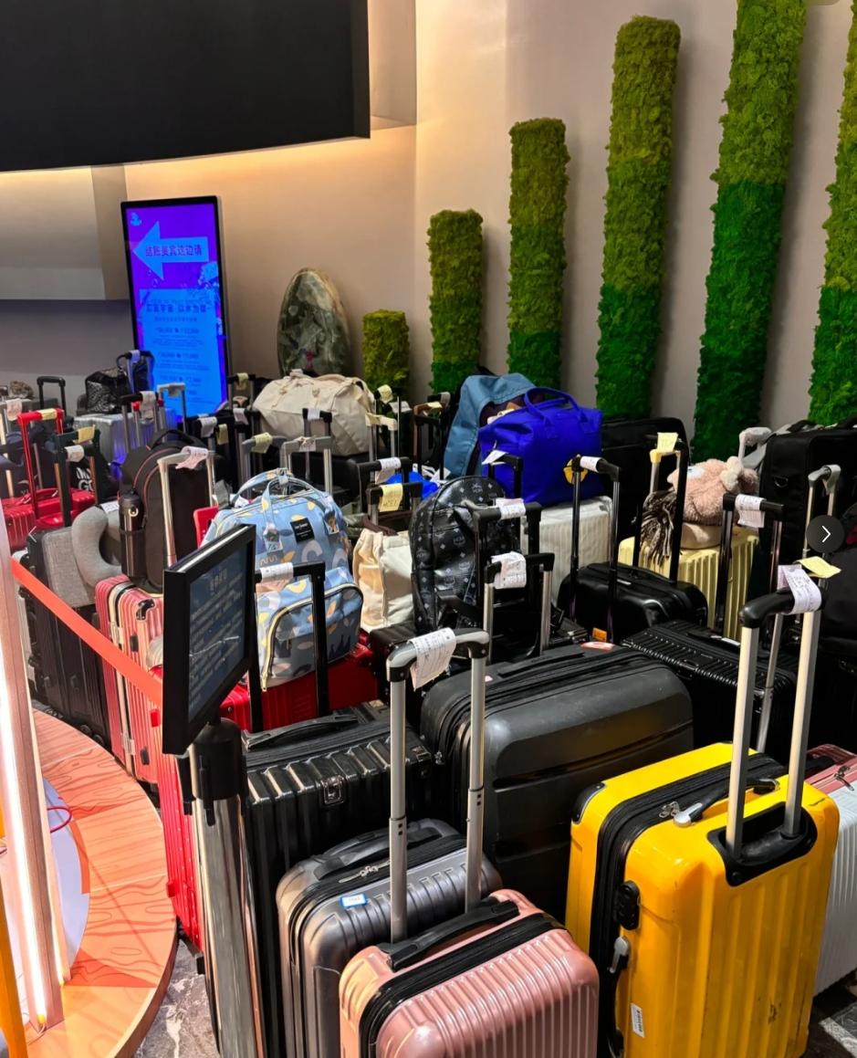 南“泥”北运！东北洗浴被南方游客“包场”了！