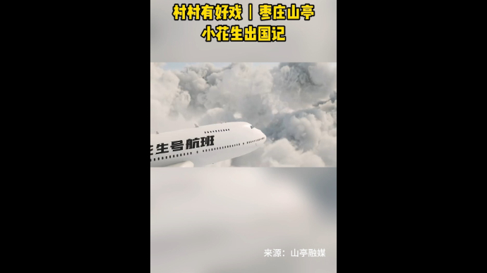 村村有好戏丨枣庄山亭 小花生出国记