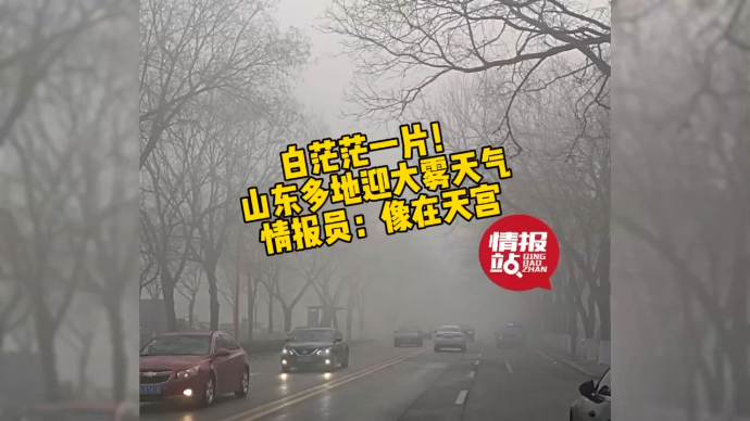 果然视频|白茫茫一片！山东多地大雾持续，情报员：像置身天宫