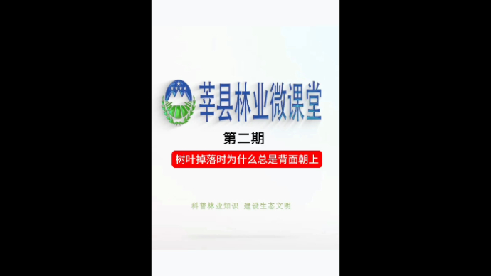 莘县林业微课堂第二期——树叶掉落时为什么总是背面朝上