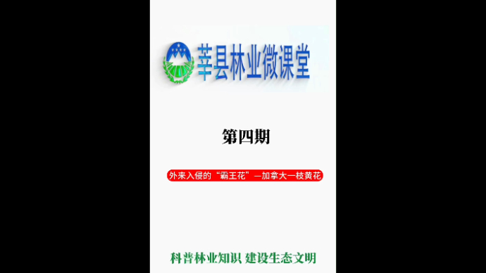 莘县林业微课堂第四期——外来入侵的“霸王花”