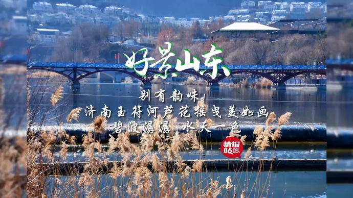 果然视频·好景山东|济南玉符河芦花摇曳，碧波潺潺水天一色！