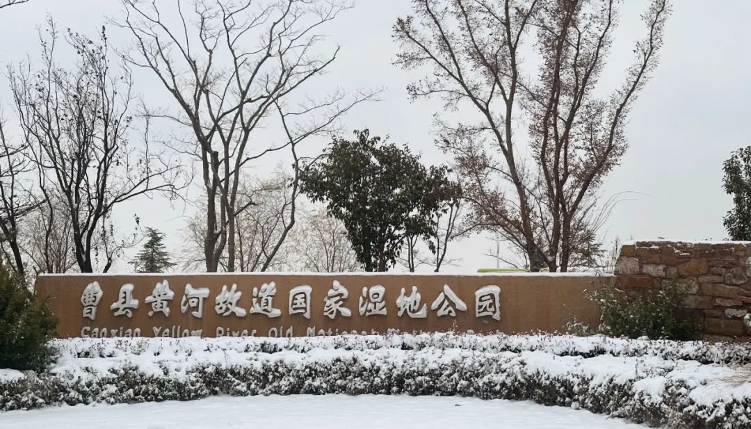 漫步在菏澤城區的大小公園,感受觸手可及的美好.