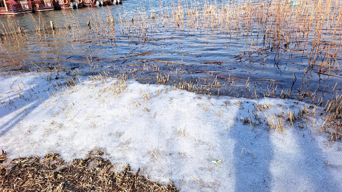 果然视频|进入三九寒冬，济南大明湖里还有多少冰雪？ 