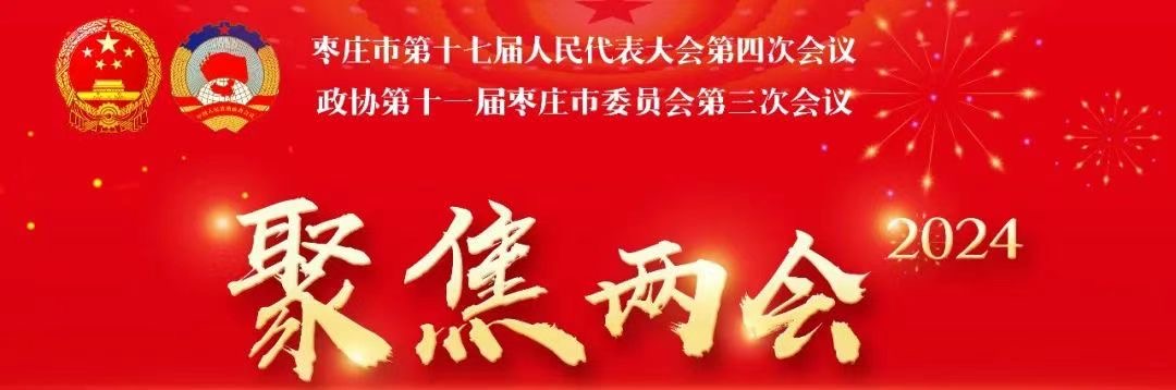 张宏伟参加山亭代表团审议