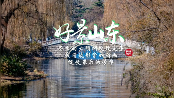 果然视频·好景山东|冬季的大明湖处处是景，残荷疏影皆为诗画！