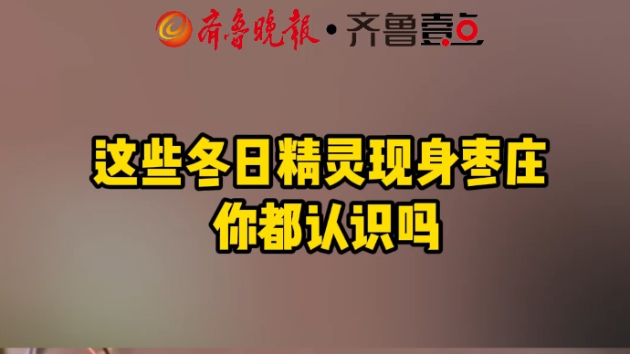 这些冬日精灵现身枣庄 你都认识吗