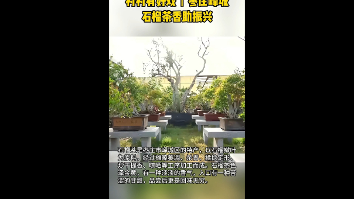 村村有好戏丨枣庄峄城石榴茶香助振兴