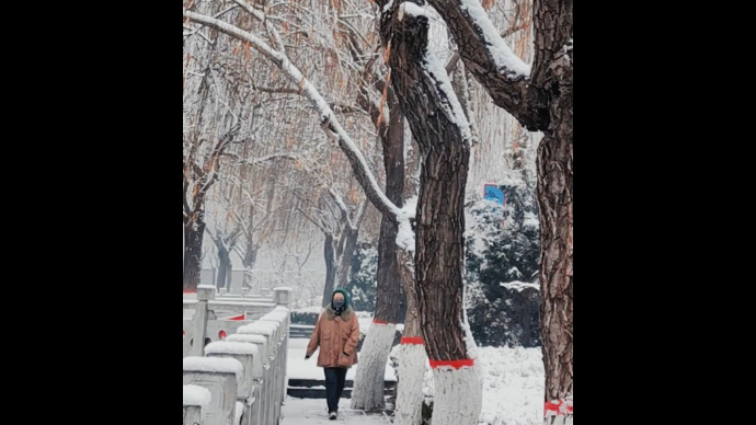 果然视频丨下雪啦！德州开启雪景模式