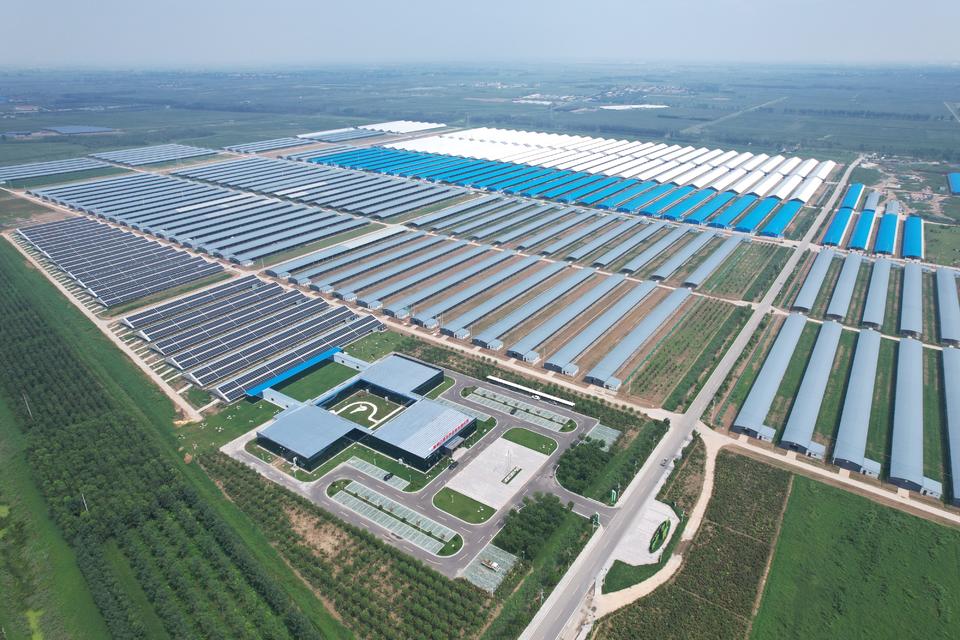 突破2024|加快建设高水平现代化新利津