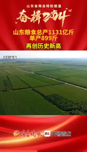 秒读两会丨山东粮食总产量1131亿斤，再创历史新高