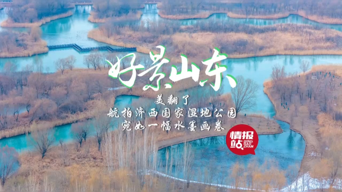 果然视频·好景山东|航拍济西国家湿地公园，宛如一幅水墨画卷！