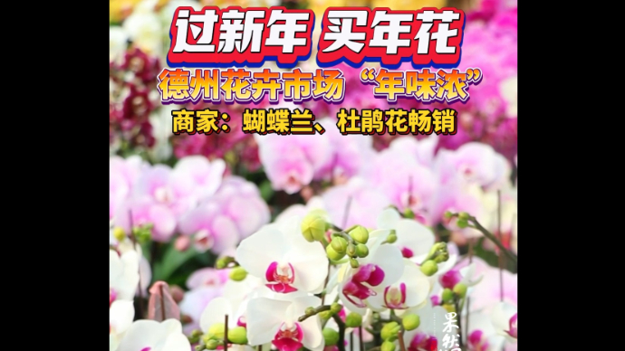 果然视频∣德州花卉市场“年味浓”！商家：蝴蝶兰、杜鹃花畅销