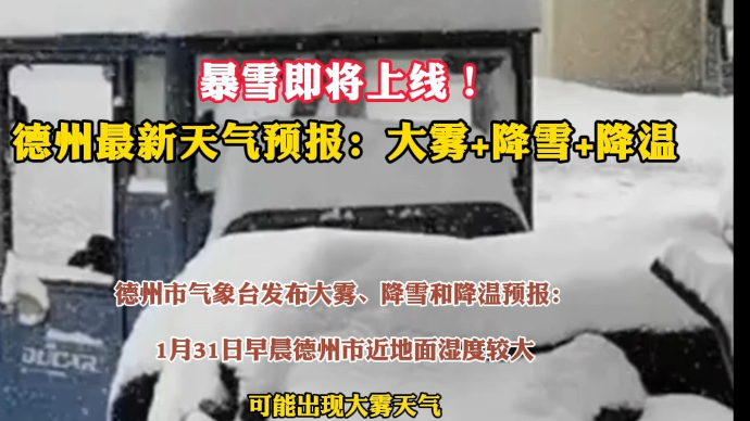 果然视频｜暴雪即将上线！德州发布最新天气预报