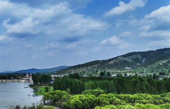 全面繁荣艺术创作，山东要在塑造新时代齐鲁文艺高峰上创优提质