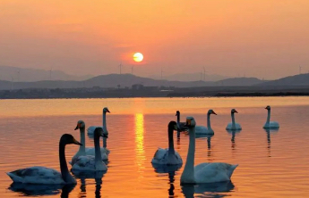 威海市文旅局局长许宏妮：山海赋能，典型经验被写入省政府工作报告