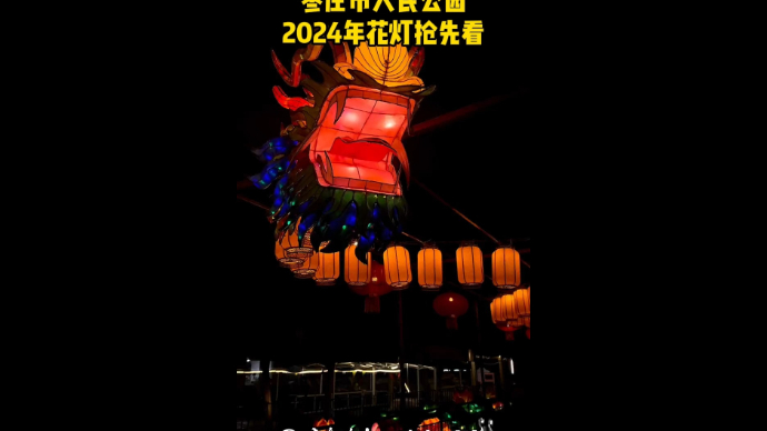 枣庄市人民公园2024年花灯抢先看