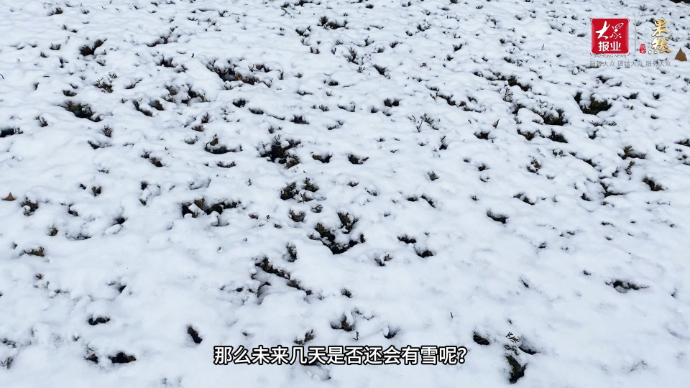 果然视频丨等等，还有雪！枣庄这天将迎来大到暴雪