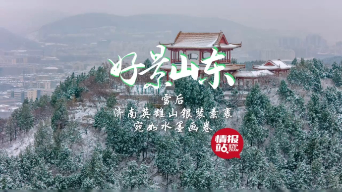 果然视频·好景山东|雪后济南英雄山银装素裹，宛如一幅水墨画卷