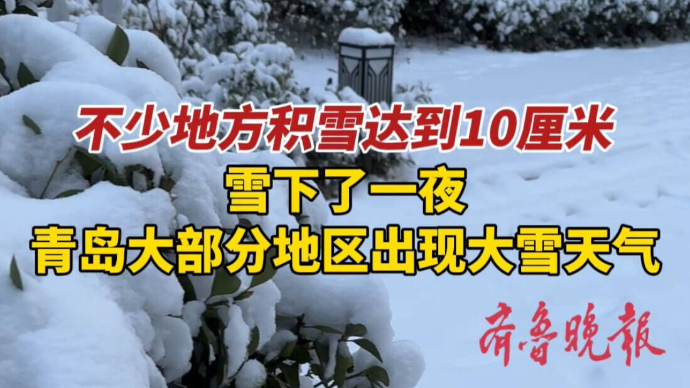 果然视频｜青岛的雪下了一夜！大部分地区出现大雪天气