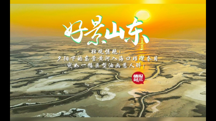 果然视频·好景山东|惊艳！东营黄河入海口夕阳壮观多姿璀璨夺目