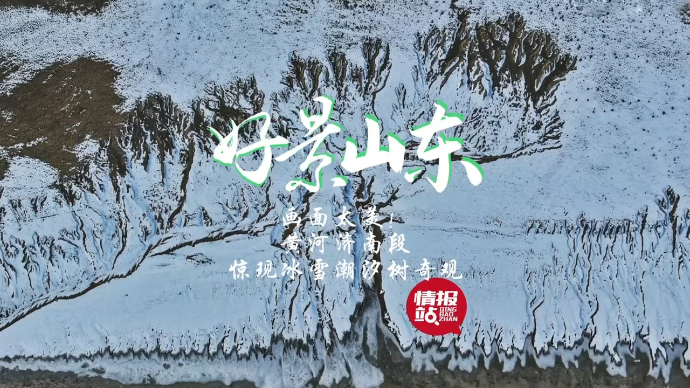 果然视频·好景山东|画面太美！黄河济南段惊现冰雪潮汐树奇观