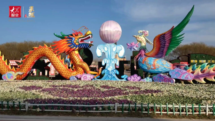 新春走基层|绚丽花灯照耀九州洼月季公园
