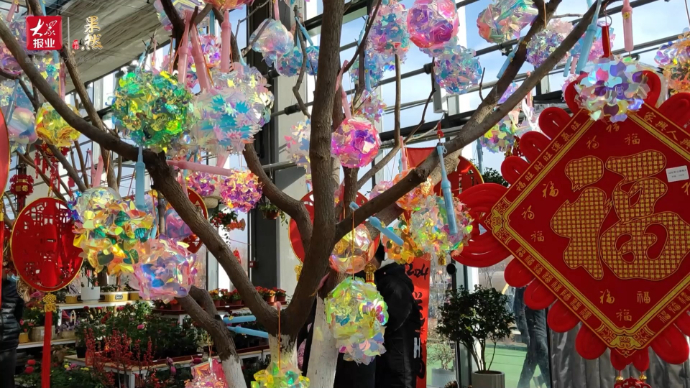 新春走基层|过年，有鲜花装扮的生活就像春天一样