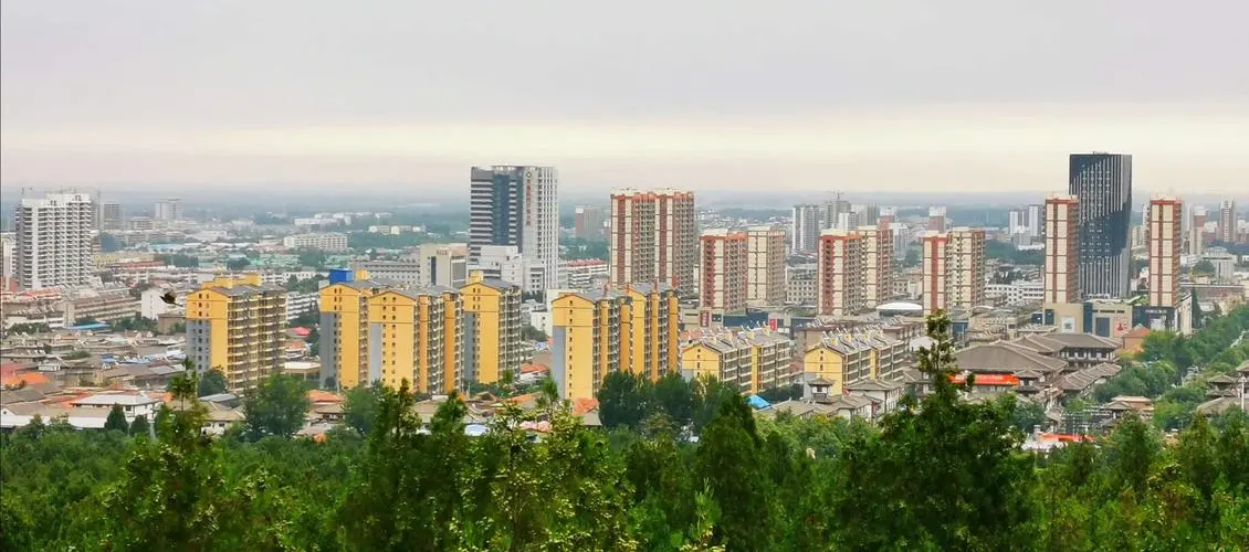 打出准快专精组合拳临沂市沂南县马不停蹄抢招商