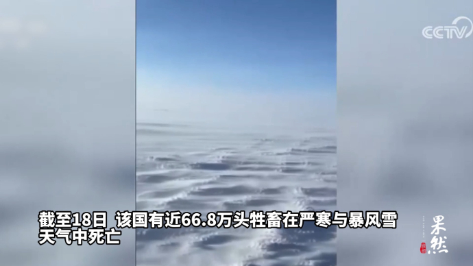 果然视频·看天下|蒙古国遭遇49年来降雪量最大冬天