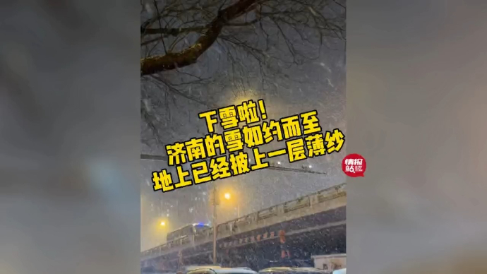 果然视频|下雪啦！济南的雪如约而至，地上已经披上一层薄纱