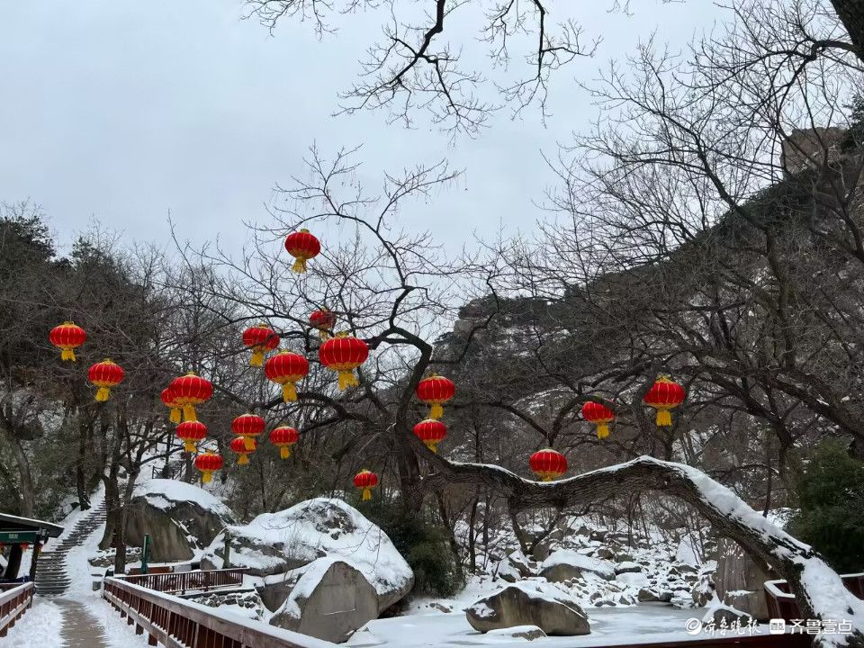 树梢“银花绽放”，白雪覆盖下的崂山风景区别具韵味