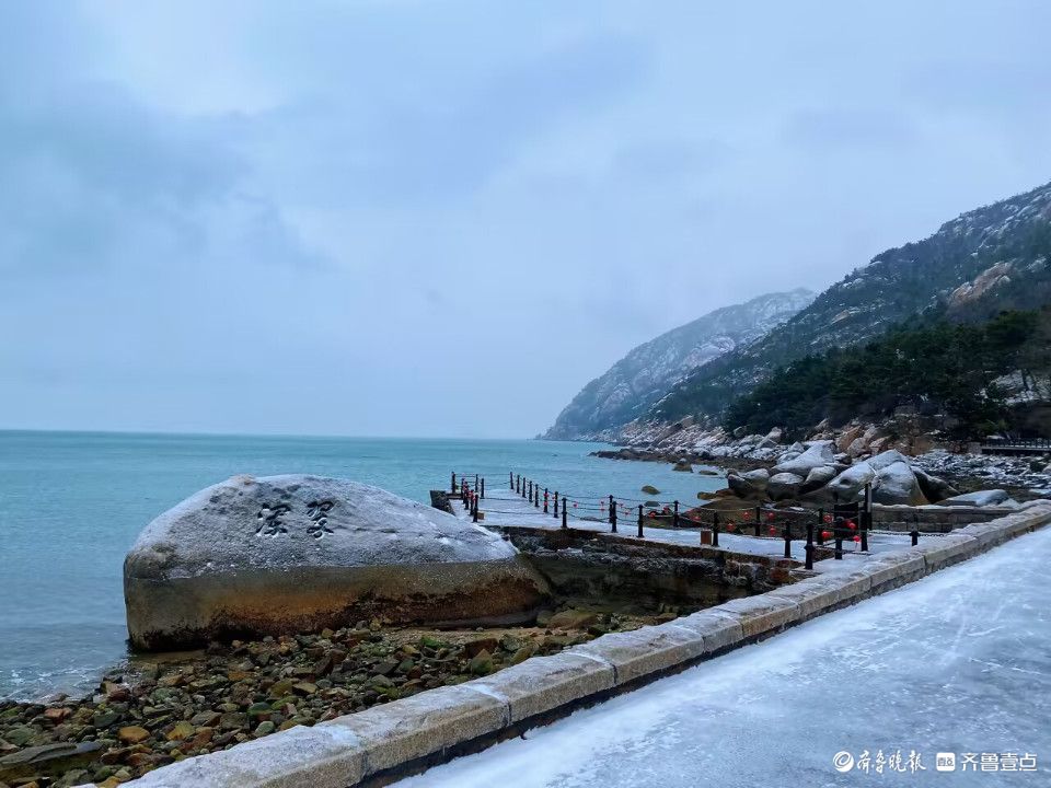 树梢“银花绽放”，白雪覆盖下的崂山风景区别具韵味
