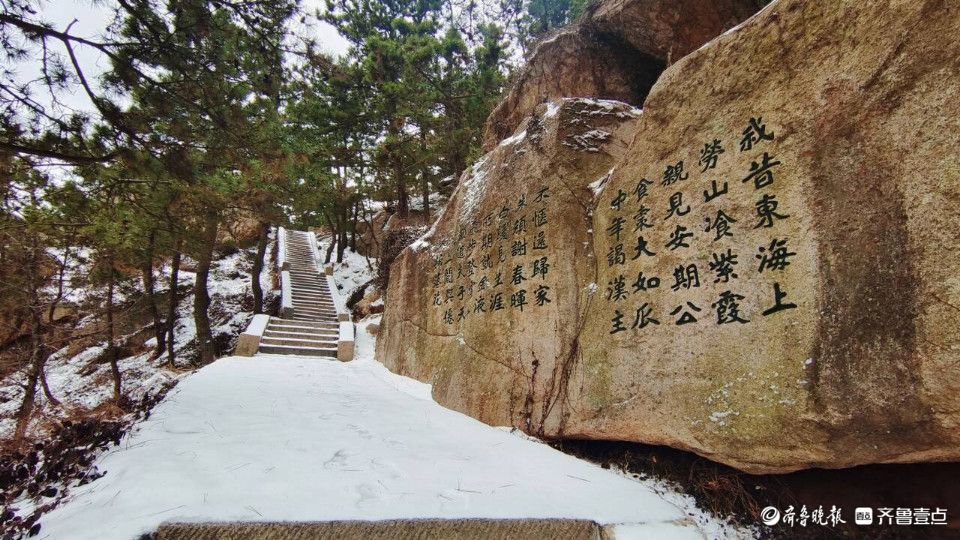 树梢“银花绽放”，白雪覆盖下的崂山风景区别具韵味