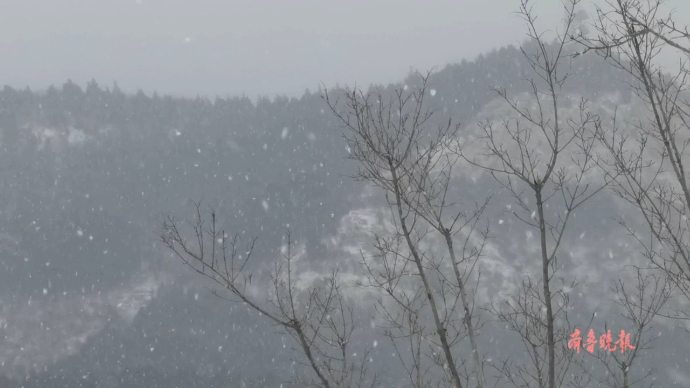 果然视频|大雪纷纷扬扬，济南佛慧山雪景靓丽