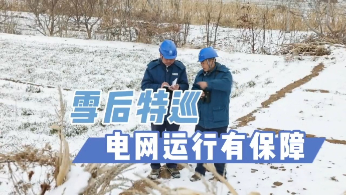 果然视频︱国网东平县供电公司：雪后特巡，保障电网有效运行