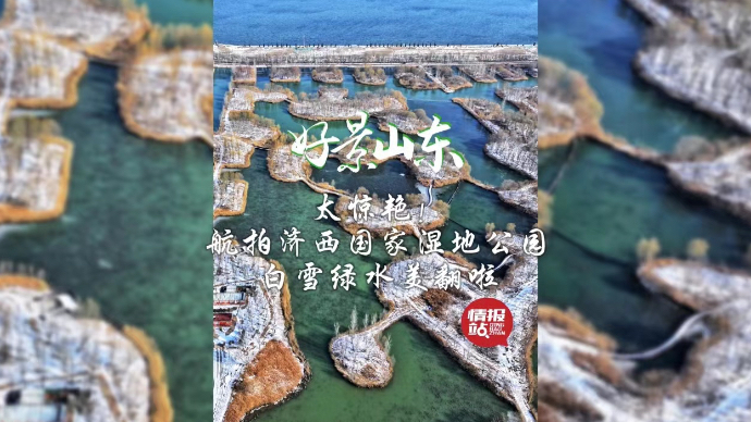 果然视频·好景山东|航拍济西国家湿地公园，白雪绿水美翻啦！