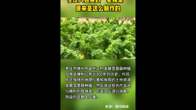 枣庄人舌尖的“老辣菜” 原来是这么制作的