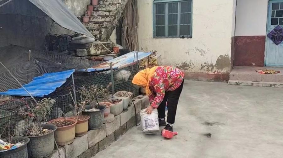 山东村晚网红大妈玉米地里独唱的人走到舞台中央