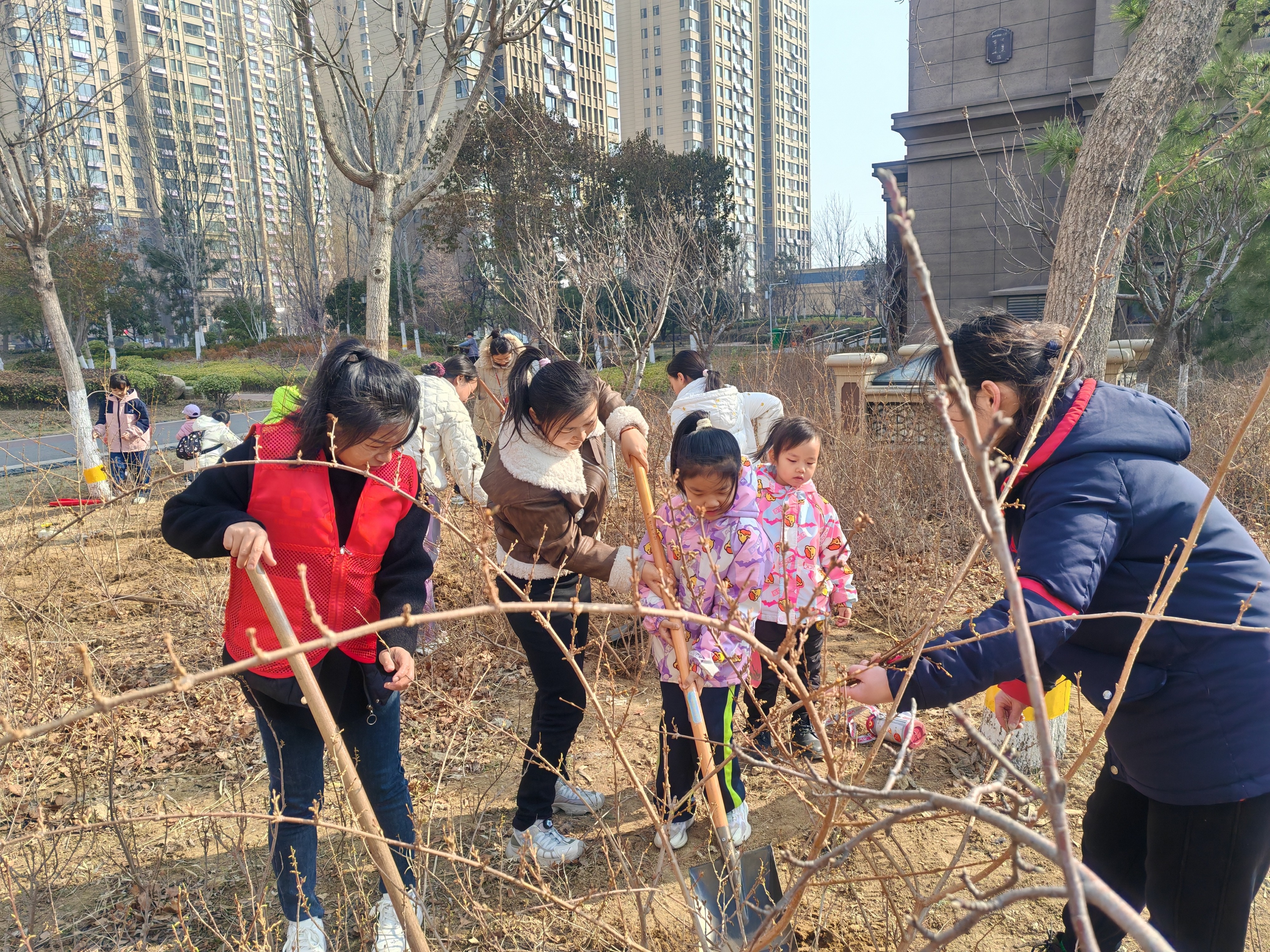 社区开展植树节活动图片