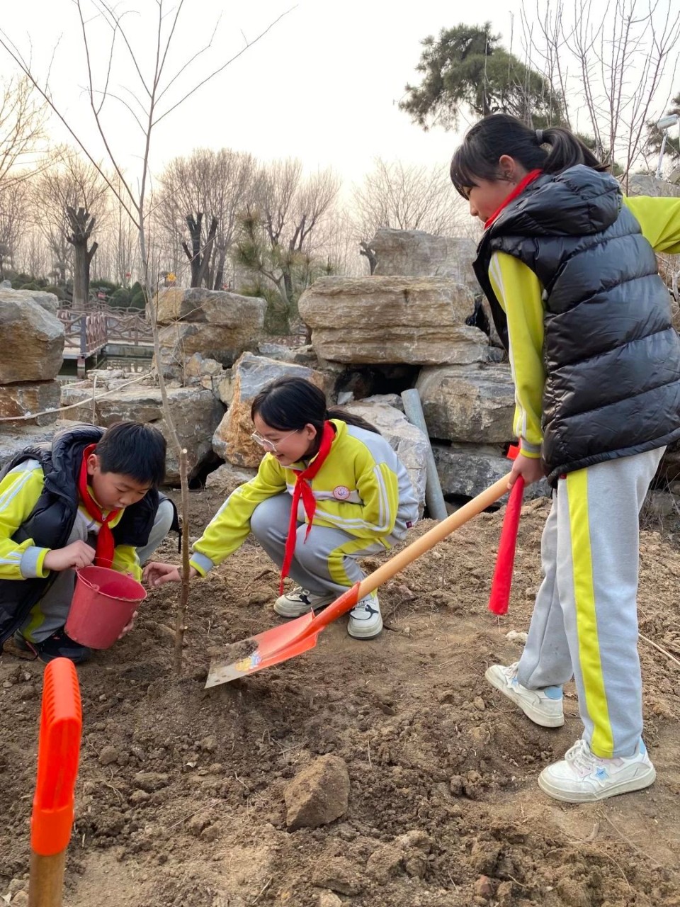  “绿色小分队”出发！临沂第五实验小学各中队积极参加植树活动