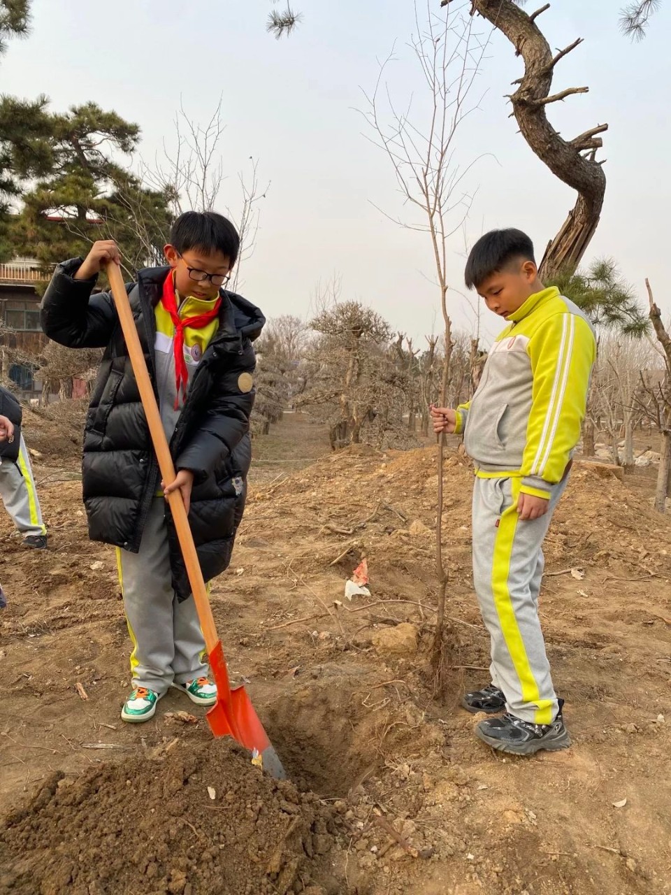 “绿色小分队”出发！临沂第五实验小学各中队积极参加植树活动