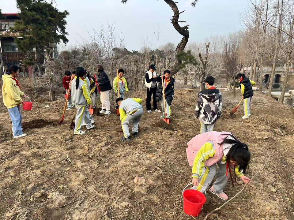  “绿色小分队”出发！临沂第五实验小学各中队积极参加植树活动
