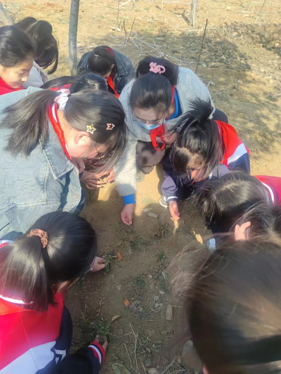 罗庄区沂堂镇中心小学开展“拥抱春天 植此青绿”校外实践活动