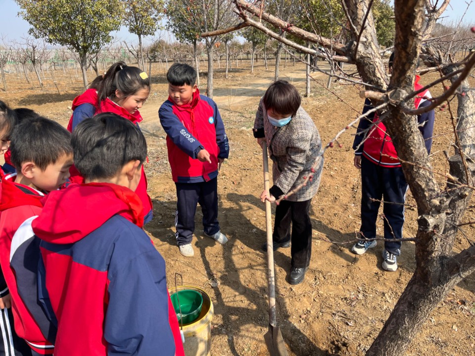 罗庄区沂堂镇中心小学开展“拥抱春天 植此青绿”校外实践活动