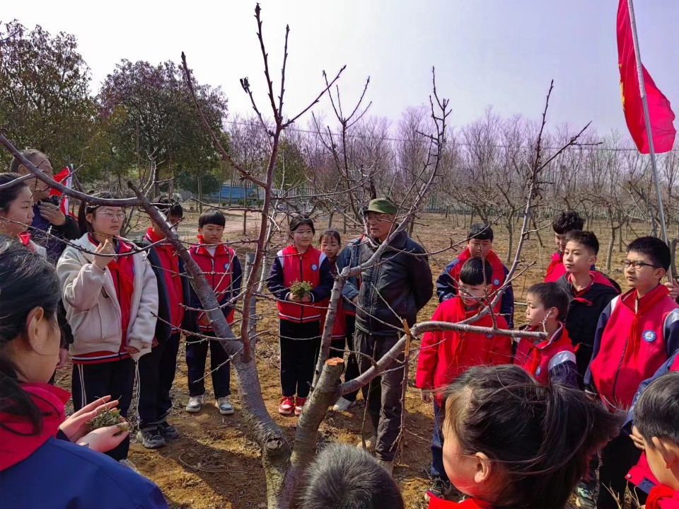 罗庄区沂堂镇中心小学开展“拥抱春天 植此青绿”校外实践活动